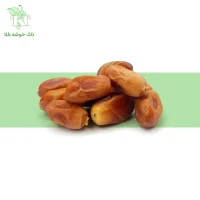 خرمای زاهدی