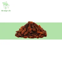 کشمش بوانات