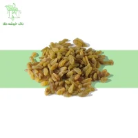 کشمش سبز کاشمری